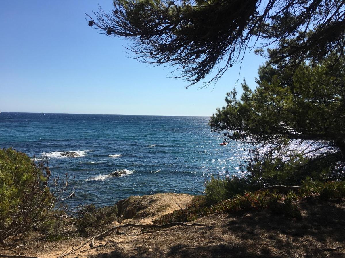 La Provence Authentique A 30 Minutes Des Plages Collobrières Exteriér fotografie